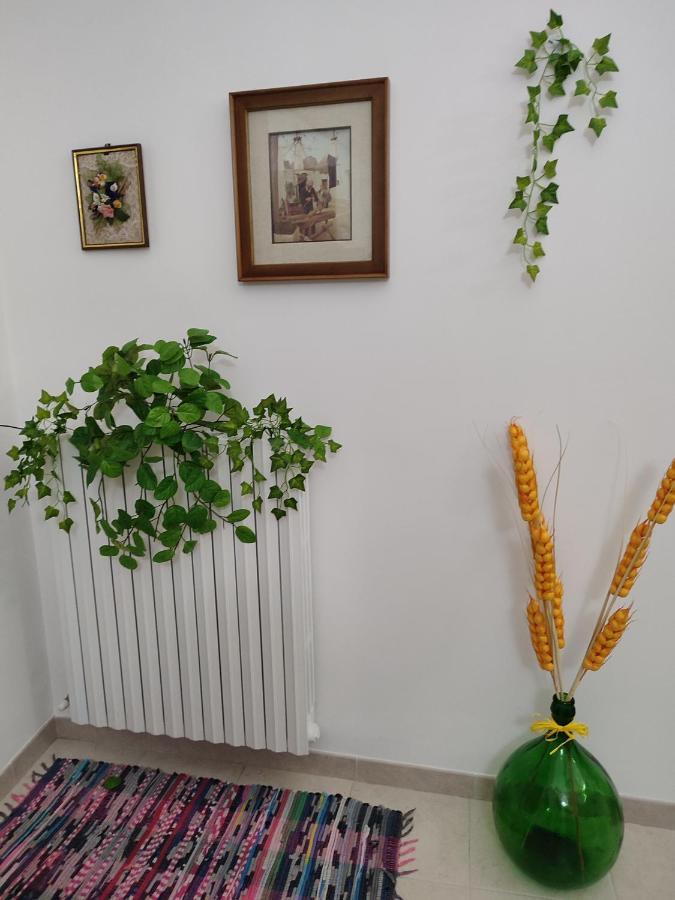 B&B Aquila Alberobello Bagian luar foto