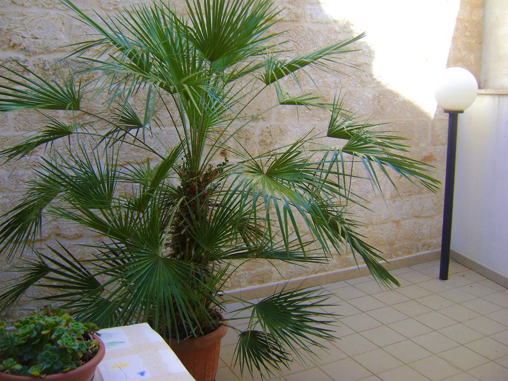 B&B Aquila Alberobello Bagian luar foto
